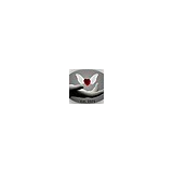 Nelson Jen DC - Chiropractors in Tempe
