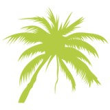 Montrosity Tree Service - Other in Sahuarita