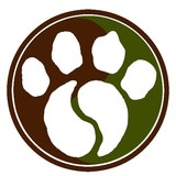 Halstead Kathryn DVM - Veterinarians/Vets in Tucson