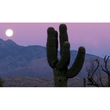 Moon Valley Tattler Inc - Travel Agents in Phoenix