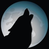 MoonDog Web Hosting and Design - Web Design & Development in Tucson