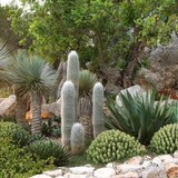 Landshapes LLC - Landscape Architects in Tucson