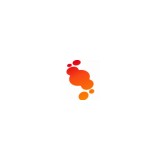 Integrallis Software - Software Development in Scottsdale