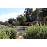 Stillwater Landscape Management - Landscaping in Phoenix