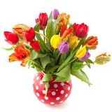 Absolutelyflowers.com - Florists in Phoenix