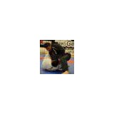 Tigers Lair Martial Arts Academy - Martial Arts in Mesa