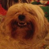 Mr Insurance - Car Insurance in Phoenix