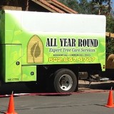 All Year Round Expert Tree & Landscape Management - Landscaping in Phoenix