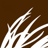 Londen Land CO LLC - Life Insurance in Phoenix