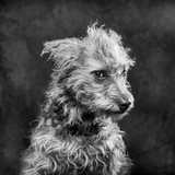 Illume Photography - Commercial Photography in Scottsdale
