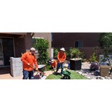 Arizona Desert Bloom Landscape - Landscape Architects in Marana