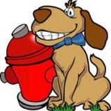 Pet Butler - Pet Waste Removal in Gilbert