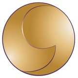 Special Education Services - Combined Elementary and Secondary Schools