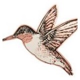 Handmade Jewelry by Copper Reflections - Jewelry in Mesa