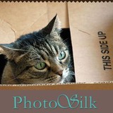 Photosilk LLC - Other in Buckeye