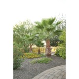 AZ Landscape Creations LLC - Landscaping in Queen Creek