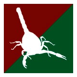 Arizona Organic Pest Termite Control LLC - Pest Control in Phoenix