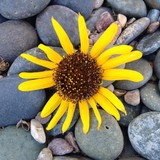Awakening Seed School - Combined Elementary and Secondary Schools in Phoenix