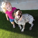 Sunburst Landscaping - Landscape Architects in Peoria