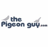 A Arizona Pigeon Guys - Pest Control in Chandler