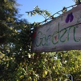 Damone Landscaping - Landscaping in Glendale