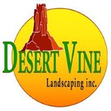 Desert Vine Landscaping Inc - Landscaping in Phoenix