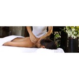 Alw Massage Therapy - Rehabilitation Center in Phoenix