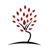 Scottsdale Leadership Inc - Elementary Schools & Primary Schools in Scottsdale