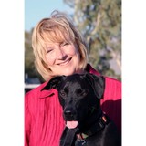 Verace Accounting LLC - Accountants in Tucson