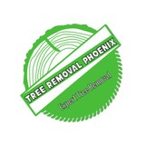 Tree Removal Phoenix - Tree Services in Scottsdale