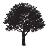Arid Plant Designs - Landscape Architects in Tucson