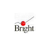 Bright Enterprises Inc - Business Consulting in Tucson