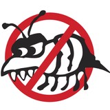 Smart Pest Solutions - Pest Control in Gilbert