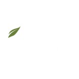 Kienna Coffee Usa Inc - Cafes in Phoenix