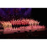 DO Re MI School of the Arts - Combined Elementary and Secondary Schools in Scottsdale