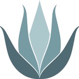 Desert Foothills Landscapes - Landscape Architects in Cave Creek
