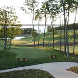 Lochenheath L L C - Golf in Scottsdale