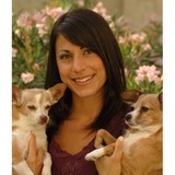 Pick of the Litter Pet Sitting - Pet Services in Scottsdale