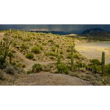 Old West Desert Tours LLC - Other in Gold Canyon