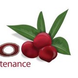 Semeruco Landscapes - Landscaping in Cave Creek
