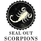 Seal Out Scorpions - Pest Control in Tempe