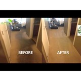 Eco King - Carpet Cleaning in Phoenix