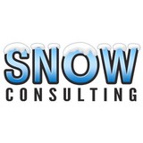 Snow Consulting Inc - Business Consulting in Surprise