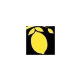 Lemmon Marketing Group - Marketing in Tempe