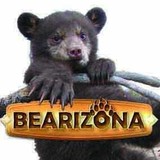 Bearizona - Other in Williams