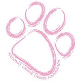 National Canine Cancer Foundation Inc - Social Clubs in Phoenix