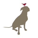 Frank Hillary DVM - Veterinarians/Vets in Phoenix