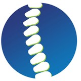 Self Brian DC - Chiropractors in Chandler