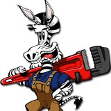 Zippy Zebra Plumbing - Plumbing in Mesa