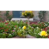 Acosta Landscape Inc - Landscape Architects in Phoenix